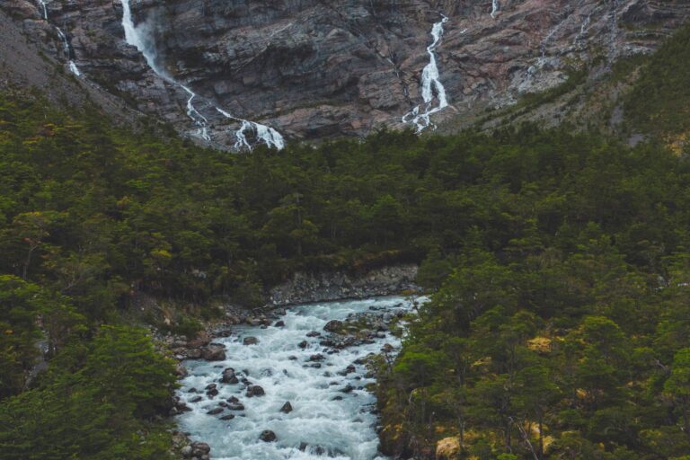 Cascadas cayendo por el paredón rocoso hacia el río, entre el bosque