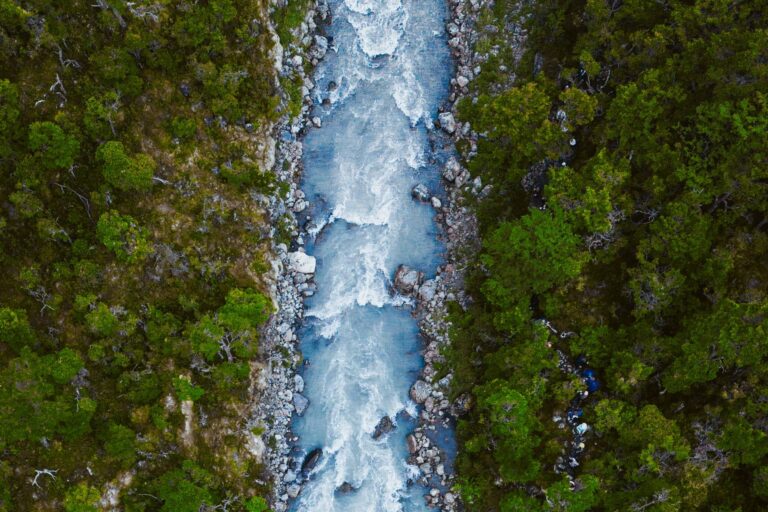 Río de deshielo entre el bosque andino patagónico, visto desde arriba