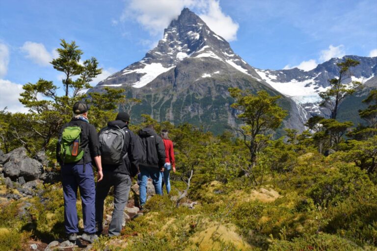 Grupo caminando hacia el cerro nevado por el sendero del bosque